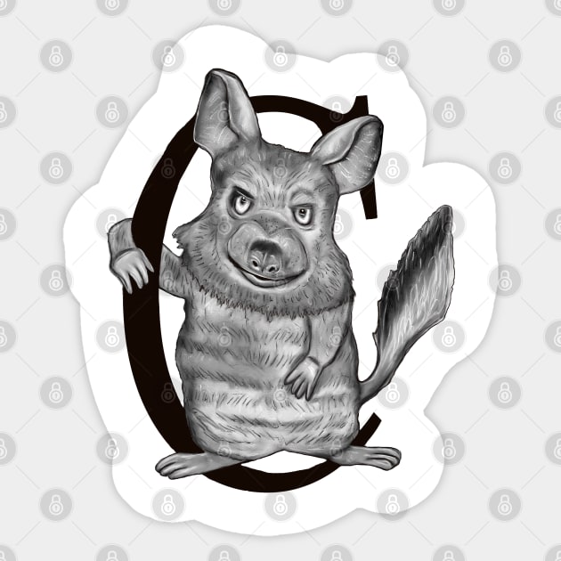 chinchilla Sticker by msmart